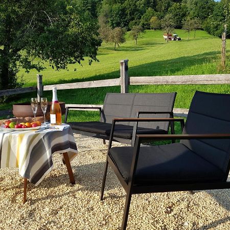 Business Apartment Schwarzach المظهر الخارجي الصورة